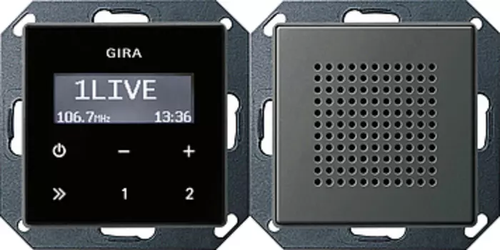 228020 Радио скрытого монтажа RDS Сталь Gira E22