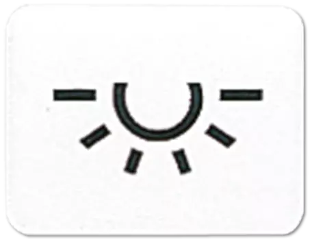 33LWW CD 500/CD plus Белый Линза с символом "ОСВЕЩЕНИЕ" для клавиши с окошком Jung