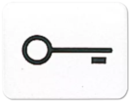 33TWW CD 500/CD plus Белый Линза с символом "КЛЮЧ" для клавиши с окошком Jung