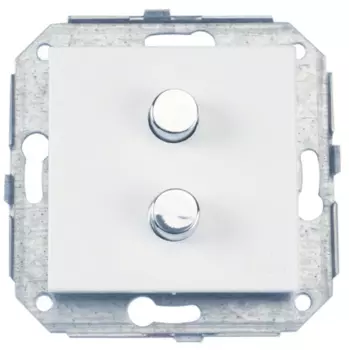 37343612 Двойная кнопка, 10A-250V, хром/металлик Fontini