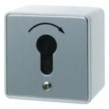 4448 Кнопка под ключ для профильных полуцилиндров наружного монтажа Водозащита IP44 Berker