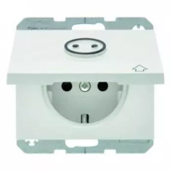 47867109 Штепсельная розетка SCHUKO с откидной крышкой и выступающим символом цвет: полярная белизна, с блеском K.1 Berker