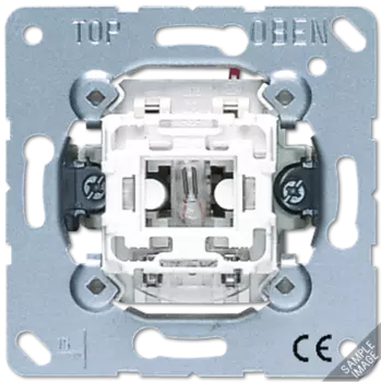 502KOU Выкл. 2-полюсный, с подсветкой Jung