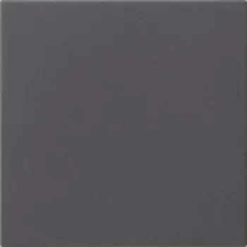 536028 Накладка управления System 3000 Антрацит Gira