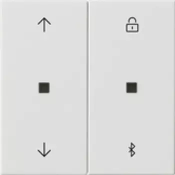 536703 Таймер жалюзи и таймер BT System 3000 System 55 Белый глянцевый Gira