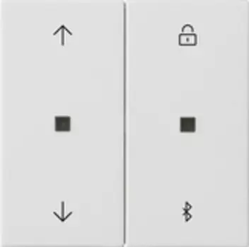 536727 Таймер жалюзи и таймер BT System 3000 System 55 Белый шелковисто-матовый Gira