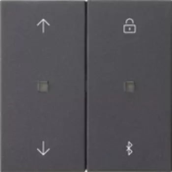 536728 Таймер жалюзи и таймер BT System 3000 System 55 Антрацит Gira