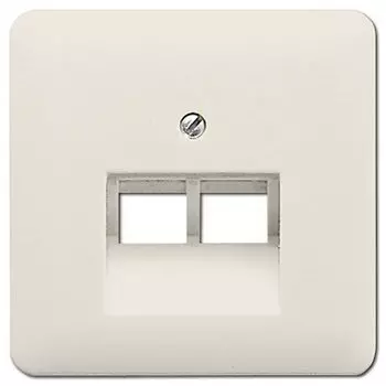 569-2UA CD 500/CD plus Бежевый Накладка 2-ой наклонной ТЛФ/комп розетки Jung