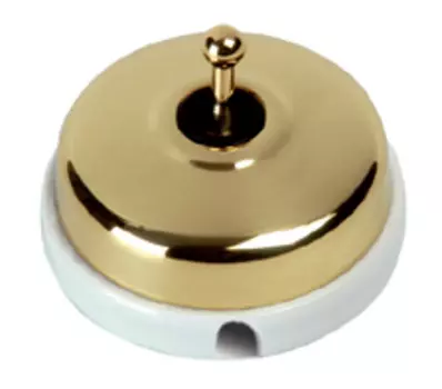 60314502 Двухполюсный выключатель, золото Fontini