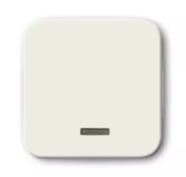 6599-0-2815 (6543-212-102), Клавиша для светорегулятора 6550 U-10x, 6560 U-101, 6593 U, реле 6401 U-10x, 6402 U, серия Busch-Duro 2000 SI, цвет слоновая кость, ABB