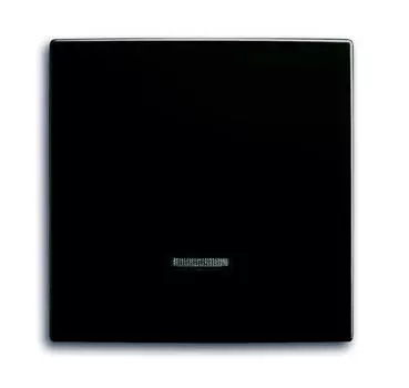 6599-0-2994 (6543-95-507), Клавиша для светорегулятора 6550 U-10x, 6560 U-101, 6593 U, реле 6401 U-10x, 6402 U, серия Basic 55, цвет chateau-black, ABB