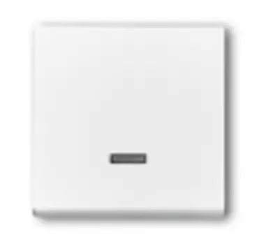 6599-0-3010 (6543-84-101-500), Клавиша для светорегулятора 6550 U-10x, 6560 U-101, 6593 U, реле 6401 U-10x, 6402 U, цвет davos/альпийский белый, ABB