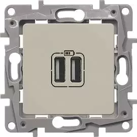 672394 Зарядное устройство с двумя USB-разьемами 240В/5В 2400мА - Etika - слоновая кость Legrand
