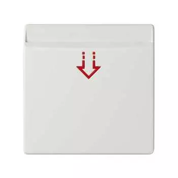 82078-60 Накладка на выключатель под карточку, S82, S82N, 82 Detail, белый Simon