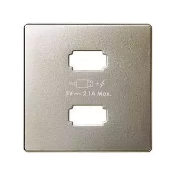 8211096-034 Накладка для зарядного устройства 2*USB, S82, S82N, шампань Simon