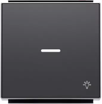 8504.4 NS Клавиша для 1-клав/ выключателей /переключ /кнопок сим "СВЕТ" линзой Чёрный бархат , ABB