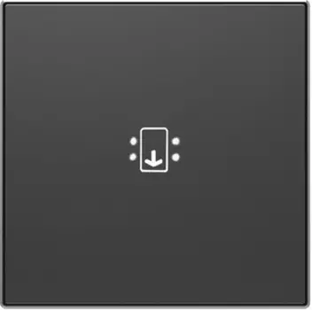 8514 NS Клавиша (накладка) с линзой и маркировкой Чёрный бархат , ABB