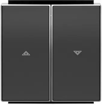 8544 NS Клавиша для механизмов управления жалюзи 2х клав с маркировкой Чёрный бархат , ABB