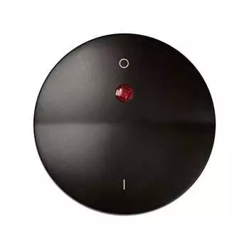 88032-32 Клавиша для выключателя одноклавишного двухполюсного с контрольной подсветкой, с пиктограммой, Simon 88,