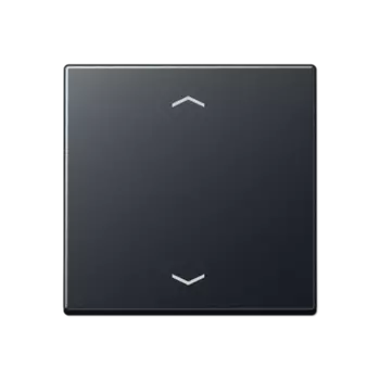 A1700BFPANM Центральная плата стандарт «стрелки» для LB вставки «жалюзи» матовый антрацит Jung A серия