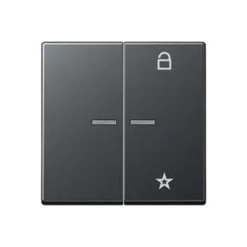 A1701BFANM Центральная плата универсальная для LB вставки «жалюзи» матовый антрацит Jung A серия