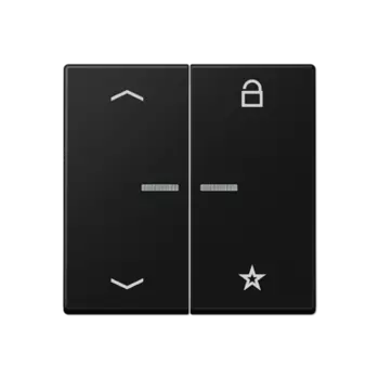 A1701BFPSWM Центральная плата универсальная «стрелки» для LB вставки «жалюзи» матовый чёрный графит Jung A серия