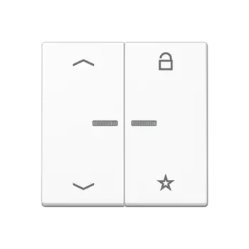 A1701PWW Центральная плата универсальная «стрелки» для LB вставки «жалюзи» белая Jung A серия