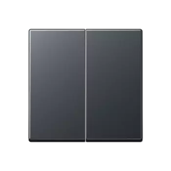 A1702BFANM Центральная плата 2 группы стандарт для LB вставки «освещение» антрацит Jung A серия