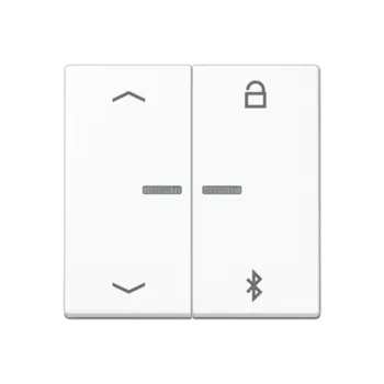 A1751BFPBTWW Таймер универсальный Bluetooth «стрелки» белый Jung A серия