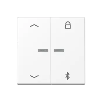 A1751BFPBTWWM Таймер универсальный Bluetooth «стрелки» белоснежный матовый Jung A серия