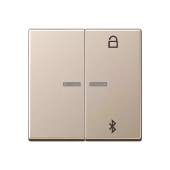 A1751BTCH Таймер универсальный Bluetooth шампань Jung A серия