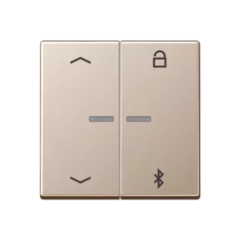 A1751PBTCH Таймер универсальный Bluetooth «стрелки» шампань Jung A серия