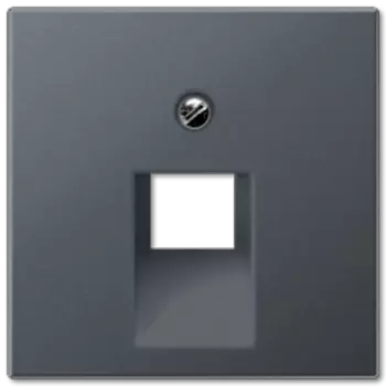 A569-1BFPLUAANM Розетка телефонная одинарная Jung RJ11 A серия