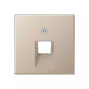 A569-1PLUACH Накладка на UAE-механизмы, Champagner Jung A серия