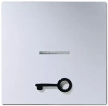 A590T1KOAL 1-ая клавиша с окошком, символ "ключ", кр.ал. Jung A серия