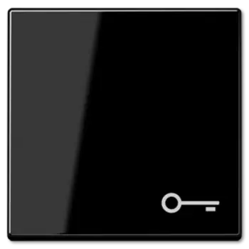 A590TSW 1-ая клавиша с символом "ключ", черн. Jung A серия