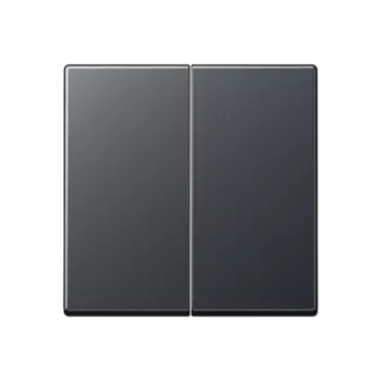 A595BFANM Выключатель двухклавишный Jung, 10А/250В