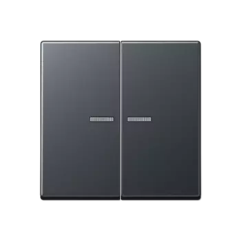 A595BFKO5ANM Выключатель двухклавишный с подсветкой Jung, 10А/250В