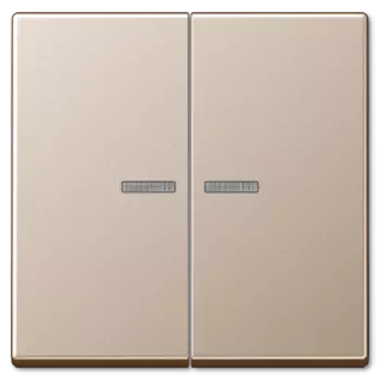 A595KO5CH Двойная клавиша на выключатель, с окошком, Champagner Jung A серия