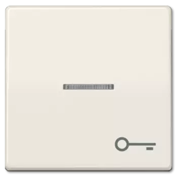 ABAS591KO5T Клавиша для выключателя Jung AS серия