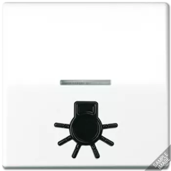 ABAS591L1KO5WW Клавиша для выключателя Jung AS серия