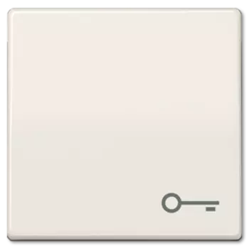 ABAS591T Клавиша для выключателя Jung AS серия