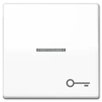 ABAS591TWW Клавиша для выключателя Jung AS серия