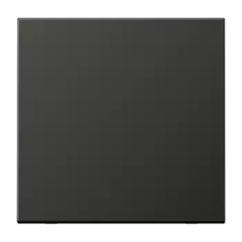 AL1700AN антрацит Центральная плата стандарт Jung LS серия