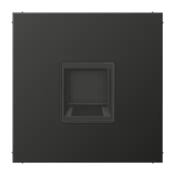 AL1969-1WEAN Kрышка для модульных гнёзд UMA-CAT6A антрацит Jung LS серия