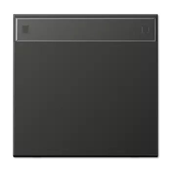 AL2990NAAN LS 990 Антрацит Клавиша 1-я с полем для надписи Jung LS серия