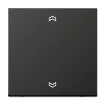 AL2990PAN Клавиша для выключателя Jung LS серия