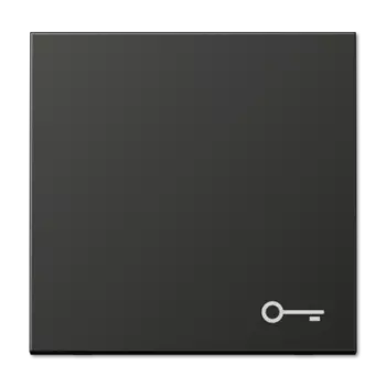 AL2990TAN Клавиша для выключателя Jung LS серия