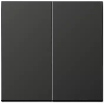 AL2995AN LS 990 Антрацит Клавиша 2-я Jung LS серия