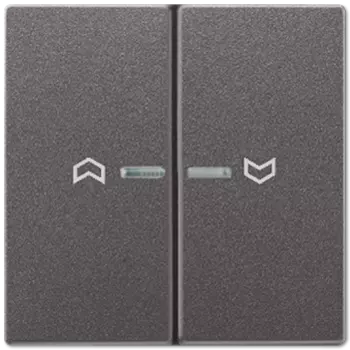 AL2995KO5PAN Клавиша для выключателя Jung LS серия